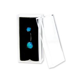 2 Earring Gift Boxes Crystal Clear Velvet Display
