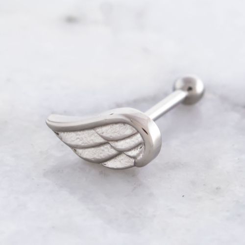 18G/16G Steel Wing Barbell