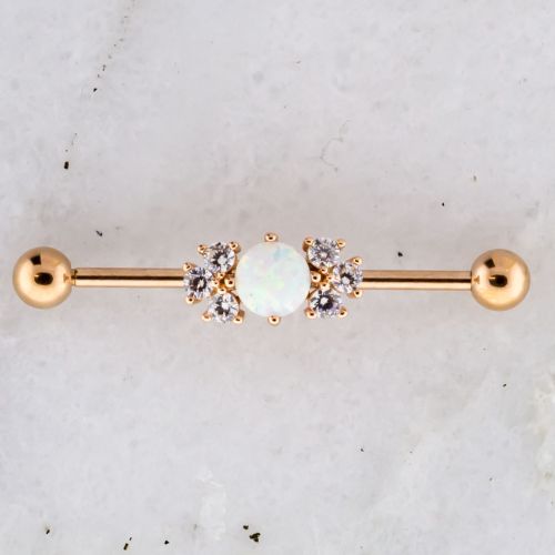 14G OPAL AND GEM CLUSTER INDUSTRIAL BARBELL