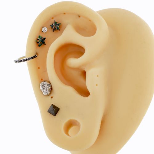 Steel Internally Threaded- Bellatrix Ear Curation