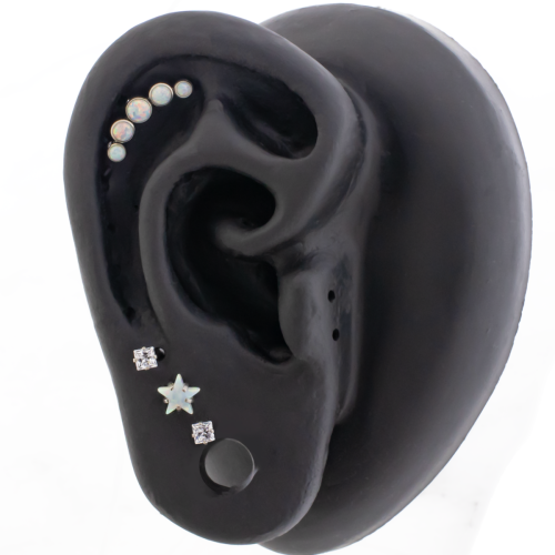 Titanium Internally Threaded- Astrid Ear Curation