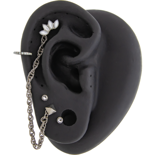 Titanium Internally Threaded- Fleur Ear Curation
