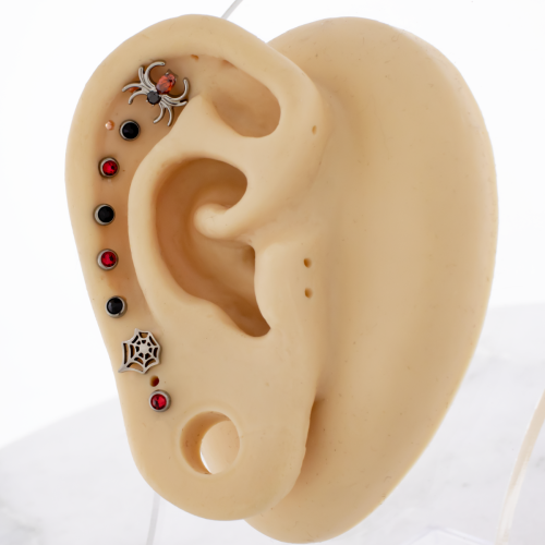 Titanium Threadless- Itsy Bitsy Ear Curation 