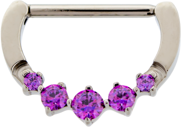 TITANIUM NIPPLE CLICKER WITH PREMIUM  ZIRCONIA GEMS-FANCY PURPLE