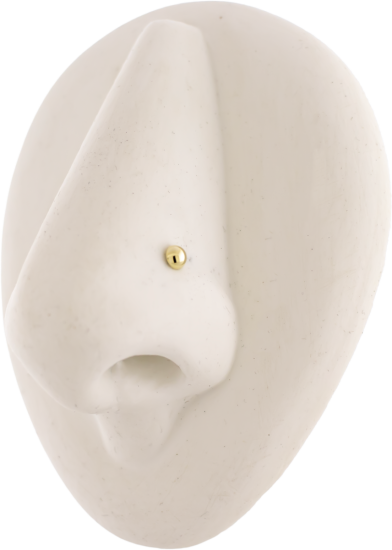 Titanium Threadless Labret Post With 14kt Dome End