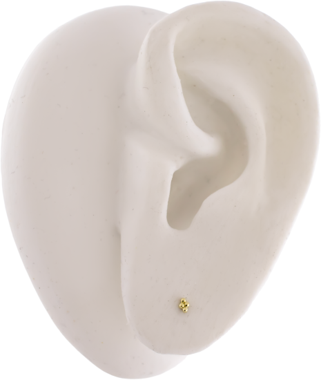 Titanium Threadless Earring Stud With 14kt 4 Bead Cluster Ends