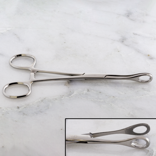 7inch FORCEPS SPONGE NON SLOTTED WITH RATCHET