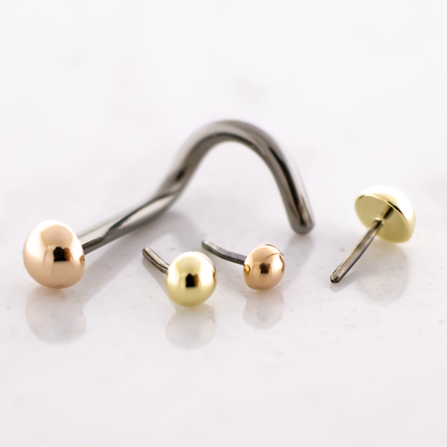 Titanium Threadless Nose Screw With 14kt Dome End