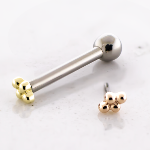 Titanium Threadless Barbell With 14kt 4 Bead Cluster End And Fixed Ball End