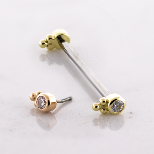 Titanium Threadless Barbell With 14kt Round CZ w/ Beaded Accent