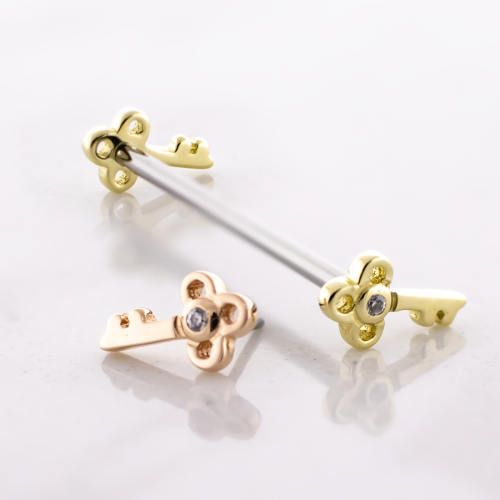 Titanium Threadless Barbell With 14kt Vintage Inspired Key Ends