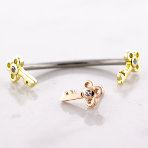 Titanium Threadless Curved Barbell With 14kt Vintage Key Ends