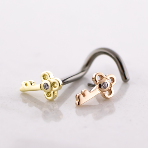 Titanium Threadless Nose Screw With 14t Vintage Key End