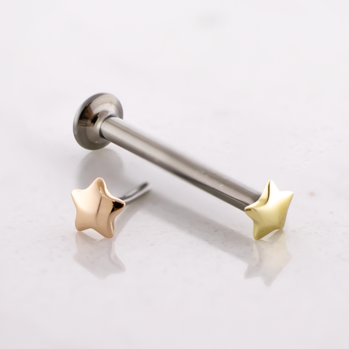 Titanium Threadless Labret Post With 14kt Simple Star End