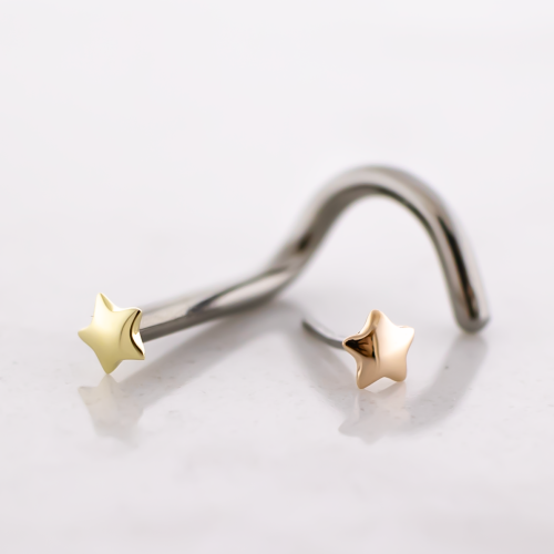 Titanium Threadless Nose Screw With 14kt Simple Star End