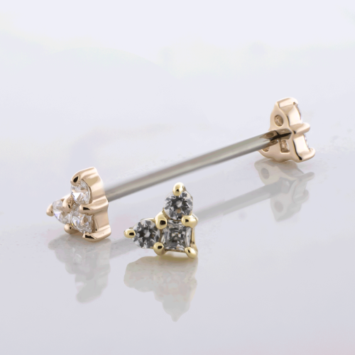 Titanium Threadless Barbell With 14kt CZ Trio Cluster Ends