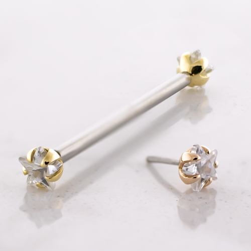 Titanium Threadless Barbell With 14kt Star Cut CZ Ends