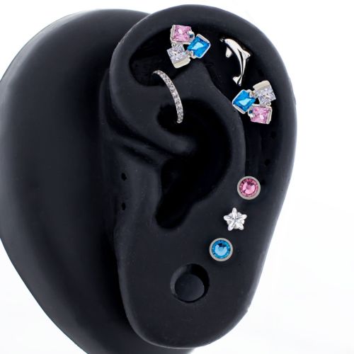 Steel Internally Threaded- Oceana Ear Curation- Multi