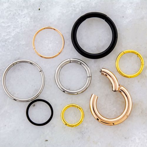 20G - 10G Steel Hinged Segment Rings