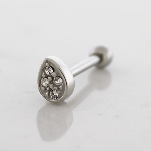 16G Steel Externally Threaded Barbell With Steel Gem Teardrop End