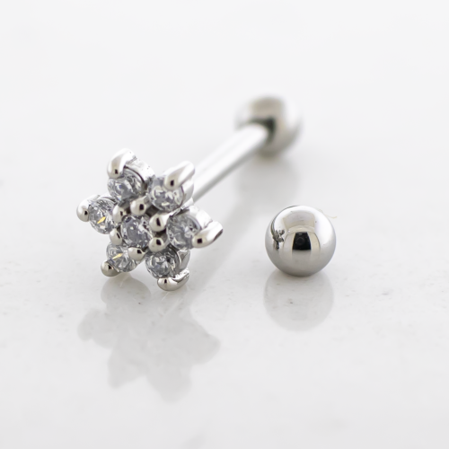 16G Steel Externally Threaded Barbell With Gem Flower End