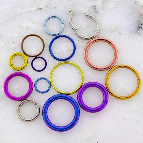 10G-20G Titanium Hinged Segment Rings