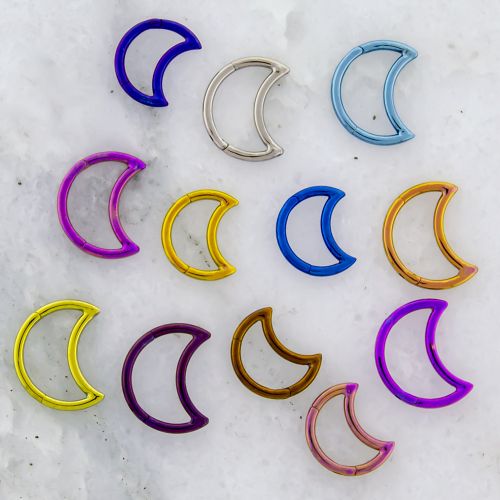 16G TITANIUM CRESCENT MOON HINGED SEGMENT RING