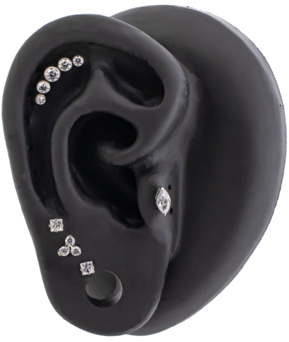 Titanium Internally Threaded- Trinity- White- Ear Curation