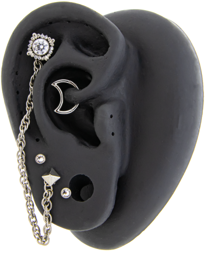 Titanium Internally Threaded- Camilla Ear Curation